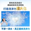 【白鴿】潔衣芯錠30顆x2包(洗衣球/洗衣膠囊/一顆搞定)