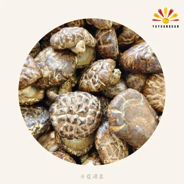 【亞源泉】椴木花菇 150g/包 5入組(贈亞源泉系列商品1包)