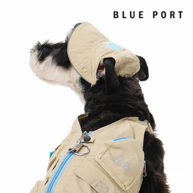 【BLUE PORT】輕薄防曬遮陽帽(透氣不悶熱 寵物防曬帽 露耳設計 寵物戶外裝備 毛孩時尚單品)