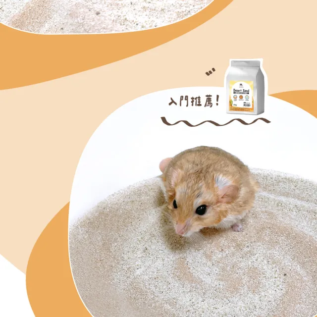 【PUBUTADA 噗噗噠噠】小動物用沙漠沙2kg x8入組(倉鼠 鼠砂 廁沙 吸臭)