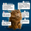 【PAW PAW LAND 肉球世界】南極磷蝦大肉包45gx17入(貓咪主食餐包 益生元 牛磺酸)