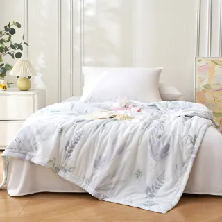 【綠的寢飾】買一送一 冰冰被 冰絲涼感夏涼被 多款任選(150×200cm 夏被/可機洗/四季被) 涼被/冷氣毯