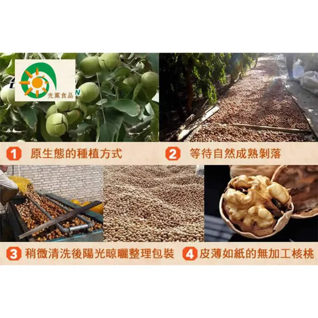 【Guang Xun 光薰】五包組 原味紙皮核桃 里仁同款販售(無農藥無調味堅果 辦公室下午茶 閏月送禮)