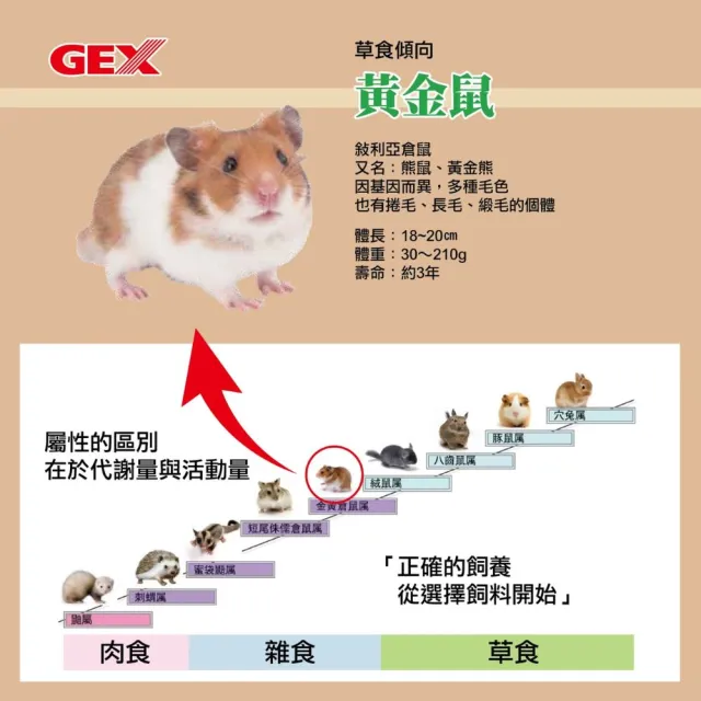【GEX】優質蛋白質主食RNA配方 黃金鼠/迷你倉鼠 400g(倉鼠飼料、黃金鼠飼料、鼠主食、熊鼠、波利鼠)