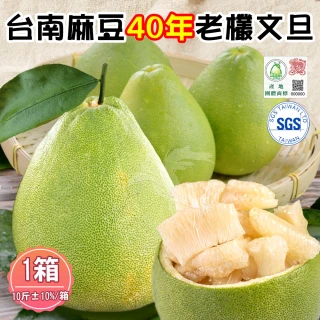 【禾鴻】台南麻豆40年老欉文旦禮盒10斤x1箱(8-10顆/箱_SGS+產地團體標章_中秋送禮)