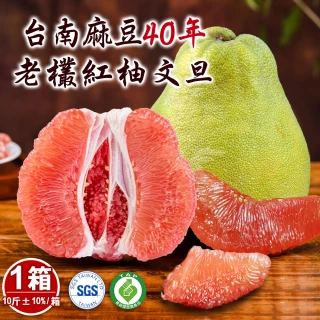 【禾鴻】台南麻豆40年老欉文旦紅柚禮盒10斤x1箱(6-10顆/箱_SGS+產銷履歷_中秋送禮)