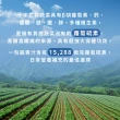 【Dr. Ginger薑博士】超青汁2盒(30包/盒;花椰菜苗/羽衣甘藍/蘿蔔硫素)