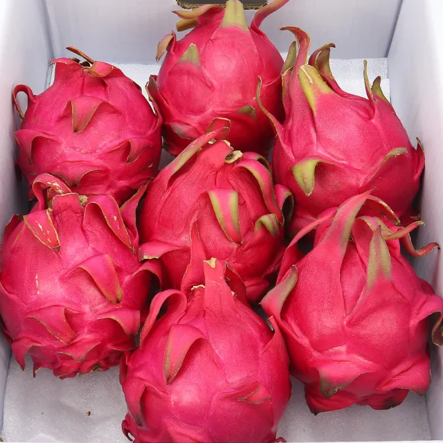 【愛蜜果】台灣紅肉火龍果大顆7-9入原裝箱X1箱(約10斤/箱)
