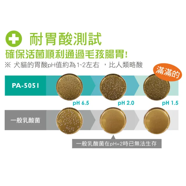 【IN-Plus】IN-Vet 寵物醫護益生菌 30粒/瓶(狗益生菌/貓益生菌/狗腸胃保健/貓腸胃保健/寵物保健/貓狗保健)