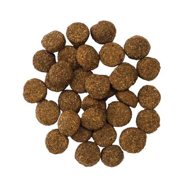 【Go!】鮭魚 3.5磅 腸胃保健系列 全犬配方(狗糧 狗飼料 腸胃敏感 益生菌)