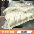 綠的寢飾 石墨烯/萊賽爾 天絲兩用被床包組-單/雙/加/特大(素色&印花多款任選/床高35公分/涼感涼被)