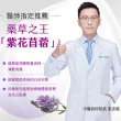 【iVENOR】十時塑花草茶-孅莓口味x12盒(共120包)