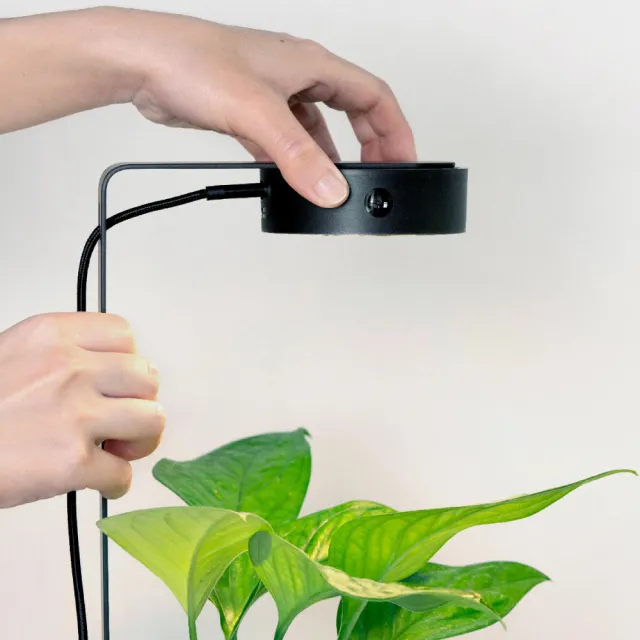 【ONF 光之間】MIST O 植霧光-桌上型隨吸植物燈套組(單燈-黑色及專屬支架2入組-黑色)