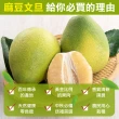 【WANG 蔬果】台南麻豆老欉文旦10斤x2箱(7-12顆/箱_共20斤 果農直配/中秋送禮/中秋柚子)