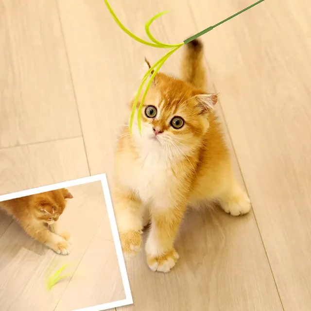 【CattyMan】蘆草系列逗貓棒-長款 2支裝(仿植物逗貓棒)