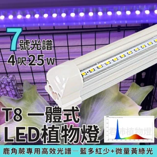 【JIUNPEY 君沛】3入組 7號光譜 T8 4呎 25W 一體式植物燈管(植物生長燈 鹿角蕨適用)
