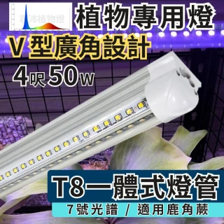 【JIUNPEY 君沛】2入組 T8一體式V型植物燈管 4呎50W 7號光譜(植物生長燈 鹿角蕨適用)