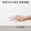 【大江】Ag+日本銀離子抗菌吸水地墊 加厚絨毛雲端腳感 廁所浴室防滑腳踏墊 速乾止滑墊40x60cm