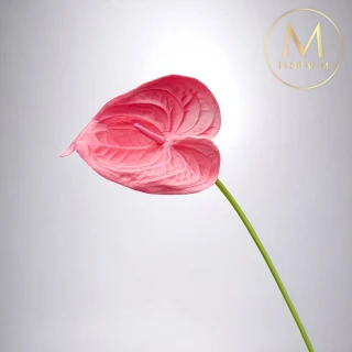 【Floral M】黛安娜心型火鶴甜心粉仿真花花材（2入組）(人造花/塑膠花/假花/裝飾花)