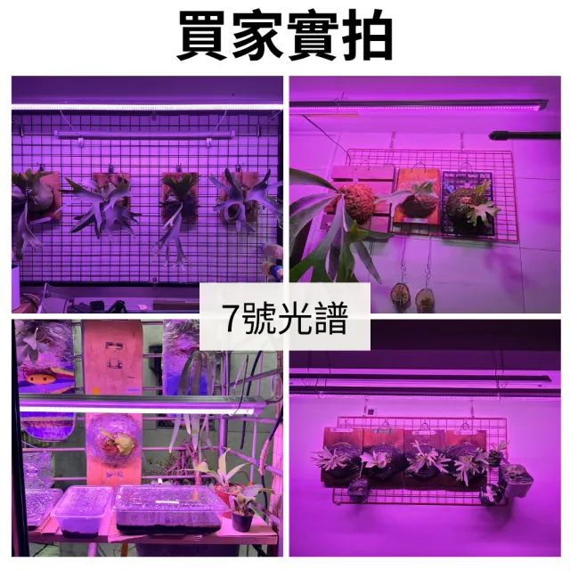 【JIUNPEY 君沛】2入組 T8一體式V型植物燈管 2呎25W 7號光譜(植物生長燈 鹿角蕨適用)