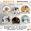 【財神小舖】澡平安 除穢艾草洗髮精500ml(避邪 淨身 淨化 艾草精油)
