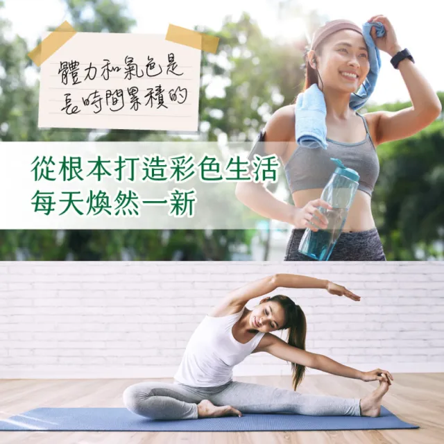 【德國 Natural Fit 活粒適】朝鮮薊萃取膠囊75粒 二入組(素食 含330毫克朝鮮薊萃取物)