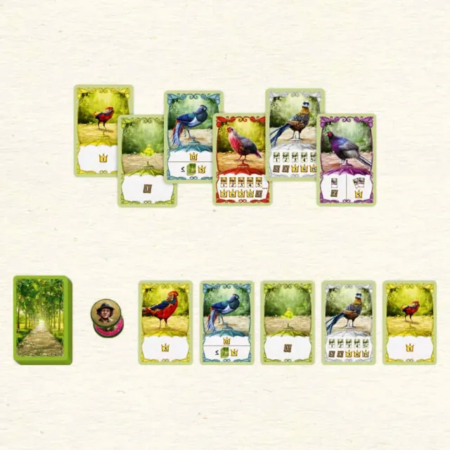 【新天鵝堡桌遊】賞鳥達人FANCY FEATHERS(經典必備款/兩人也好玩/送禮最大方)