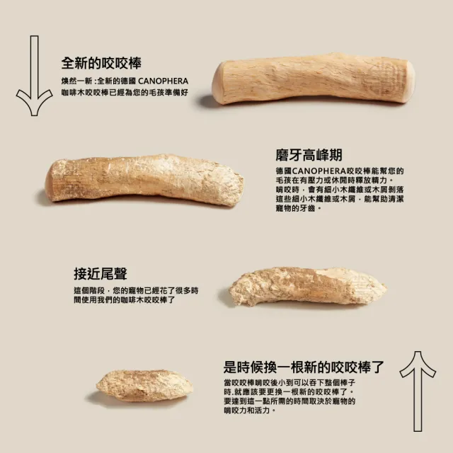 【美好寵商】CANOPHERA 天然咖啡木咬咬棒L號_2入組(磨牙棒 寵物玩具 耐咬啃咬玩具)