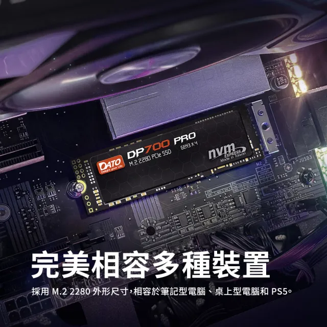 DATO 達多】DP700Pro 1TB M.2 2280 PCIe Gen3x4 SSD 固態硬碟(最高達讀