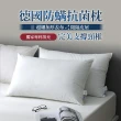 【HOYACASA】冰感獨立筒枕/德國防螨天絲枕/法國飯店羽絨枕/獨立筒枕 任選2入組(30/70羽絨枕 /物理防螨抗菌)