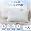 【HOYACASA】冰感獨立筒枕/德國防螨天絲枕/法國飯店羽絨枕/獨立筒枕 任選2入組(30/70羽絨枕 /物理防螨抗菌)