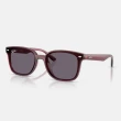 【RayBan 雷朋】2025新品 亞洲版 韓系流行太陽眼鏡組合(RB4391D、RB4392D、RB4423D、RB4458D、RB4461D)