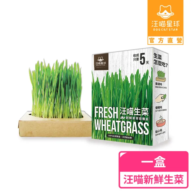 【2026】貓草推薦ptt》10款高評價人氣品牌排行榜 | 好吃美食的八里人