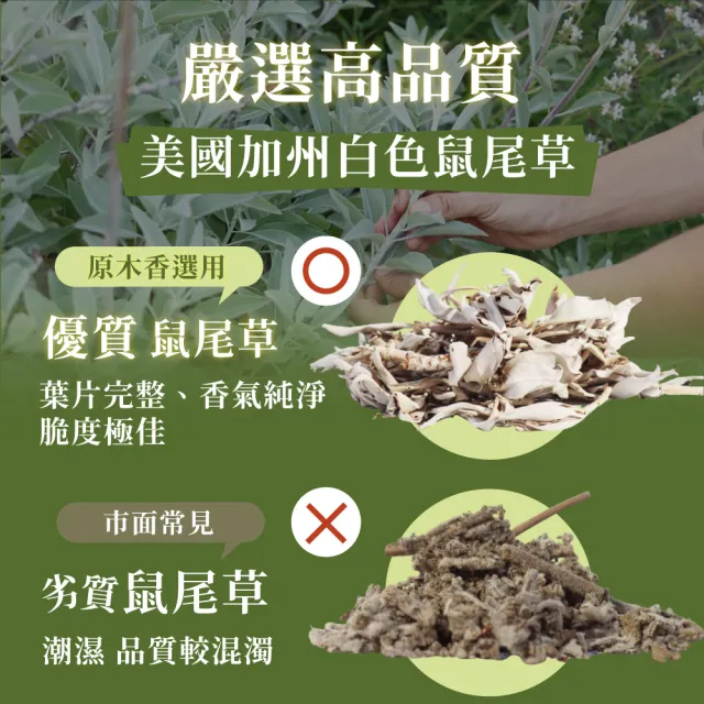 【原木香】官方直營 白色鼠尾草無黏香 20克 約42柱(鼠尾草純粉壓製 香氣超濃縮 適用塔羅 占卜 靈療 瑜珈 冥
