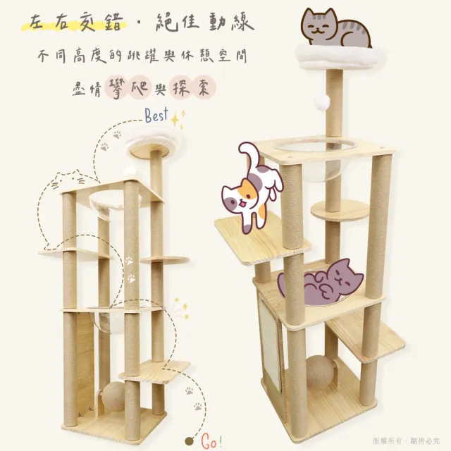 【貓本屋】台灣製 雙太空艙方形實木貓跳台(附劍麻抓板/球)