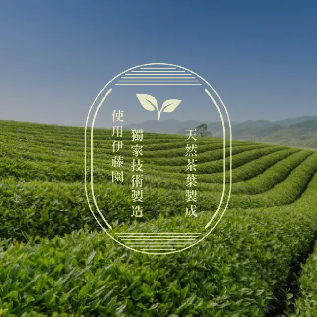 即期品【伊藤園】Ito-En 伊藤園綠茶/蘋果紅茶(530毫升 X 24瓶)