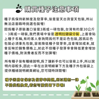 【蔬菜工坊】香辛類種子系列-各包裝數量詳見內文及圖片說明(九層塔 芹菜 芫荽 香菜)