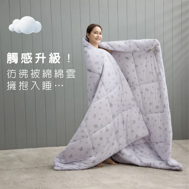 【Tonia Nicole 東妮寢飾】雲朵眠水洗四季被-雙人(多款任選/棉被)