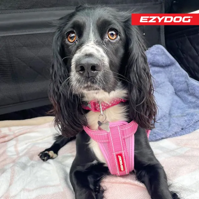 【EZYDOG】狗體工學胸背帶 素色系 M號(送400元寵物車用束帶 寵物胸背帶 H型胸背帶 寵物用品 牽繩)
