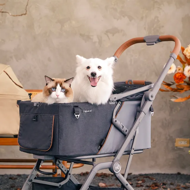 【Capucci pet 卡普奇】美國 旅行者XL Primo加大版寵物車 特別款(多款可選)
