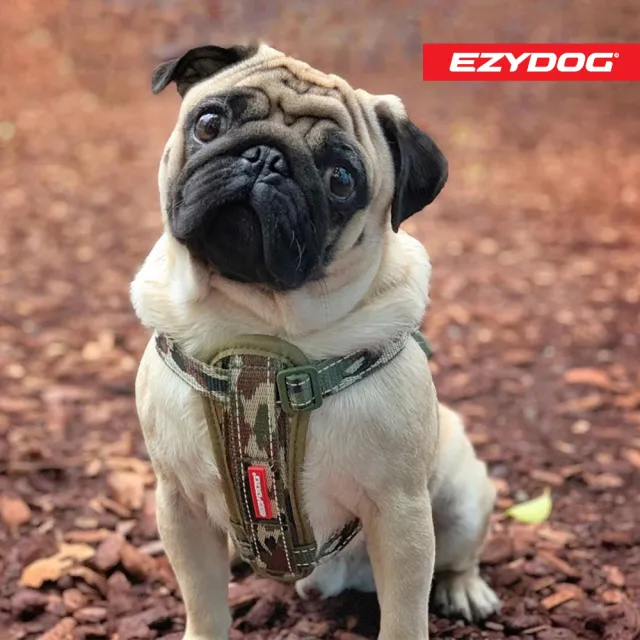 【EZYDOG】狗體工學胸背帶 特殊色 XS號(送400元寵物車用束帶 寵物胸背帶 H型胸背帶 寵物用品 牽繩)