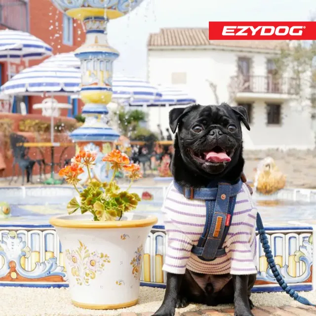【EZYDOG】狗體工學胸背帶 丹寧 XS號(送400元寵物車用束帶 寵物胸背帶 H型胸背帶 寵物用品 牽繩)