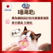 【Unicharm Pet銀湯匙】喵湯匙肉泥 10入*8包/組(多種口味/貓零食/寵物零食)
