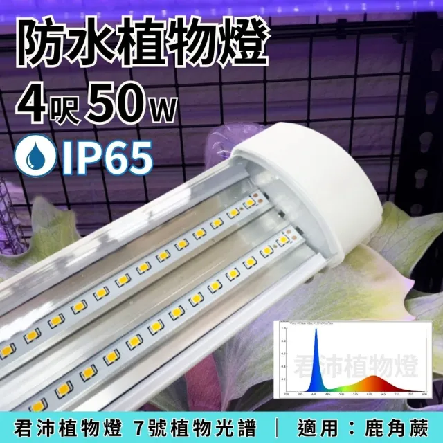 【JIUNPEY 君沛】1入組 4呎 50W 7號光譜 植物燈管 防水型設計(植物生長燈 三防燈 鹿角蕨適用)
