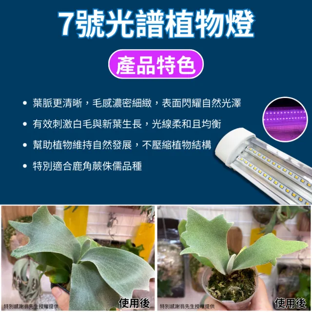 【JIUNPEY 君沛】3呎 40W 7號光譜 植物燈管 防水型雙排燈芯設計(植物生長燈 三防燈 鹿角蕨適用)