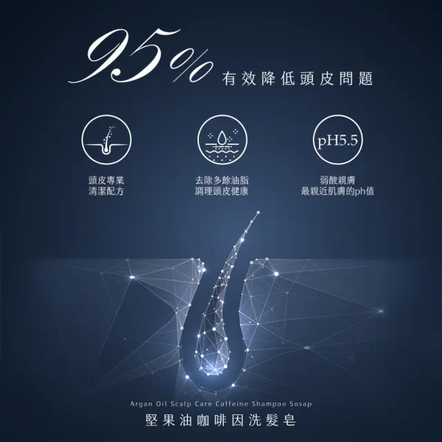【阿皂屋】手工皂-堅果油洗髮皂-強健髮根推薦-3入組(PH5.5弱酸皂-無矽靈洗髮皂-控油-胺基酸皂-泛紅-脫屑)