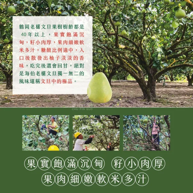 【初品果】花蓮鶴岡海伯40年老欉文旦禮盒10斤7-9顆x2箱(大果_中秋禮盒_企業送禮_好友揪團)