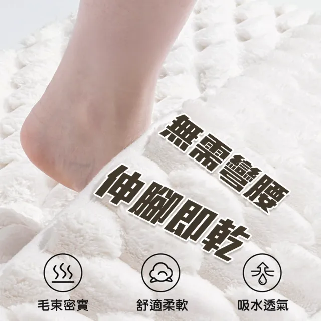 【QIDINA】雲朵絨厚款軟綿綿吸水地墊-A(浴室地墊 廚房地墊 小地毯 房間地墊 小地墊玄關)