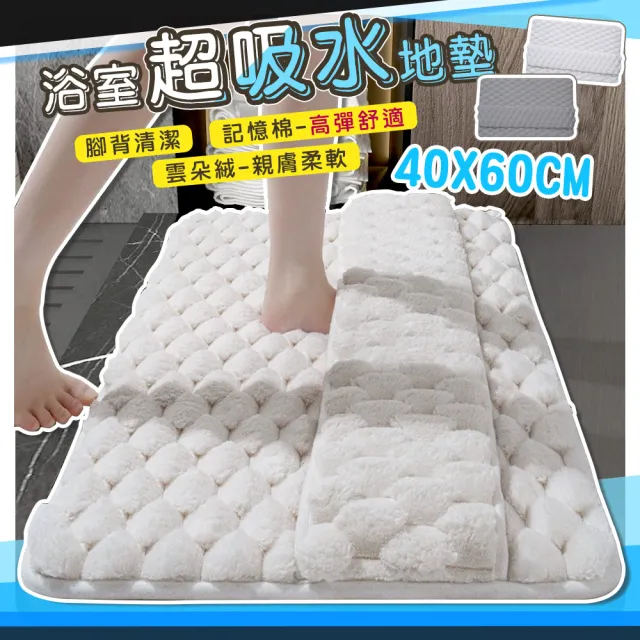 【QIDINA】雲朵絨厚款軟綿綿吸水地墊-A(浴室地墊 廚房地墊 小地毯 房間地墊 小地墊玄關)