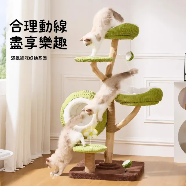 【銘利萊】青椰貓爬架 家用實木貓窩 貓樹一體跳臺 小戶型寵物傢俱(不佔地貓爬架子 絨墊可拆換)